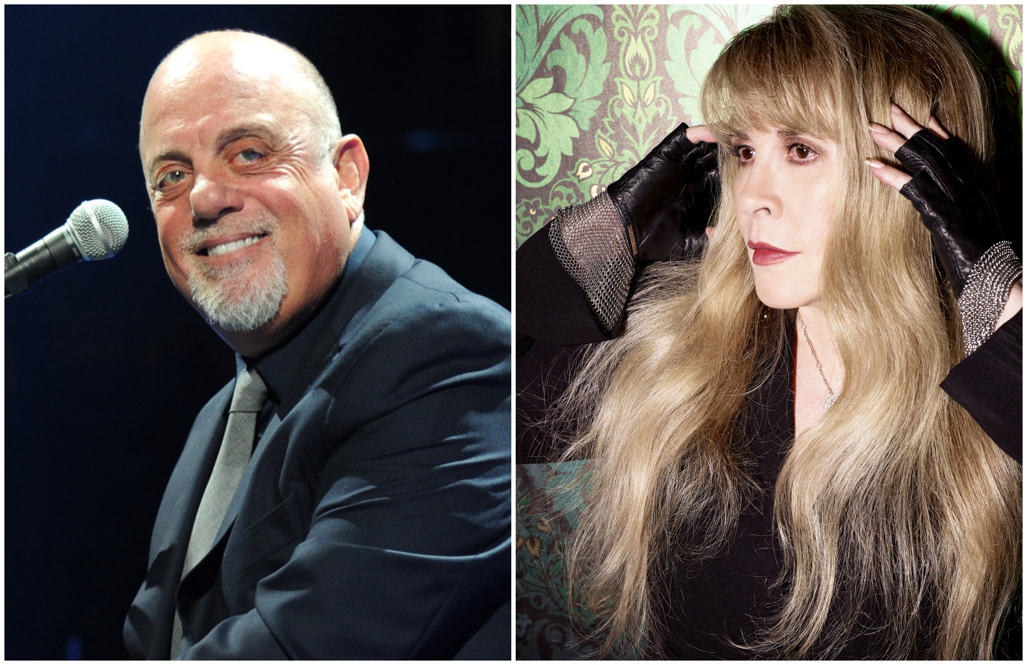 Stevie Nicks and Billy Joel co-headline tour named "Two Icons, One Night" to begin in March this year