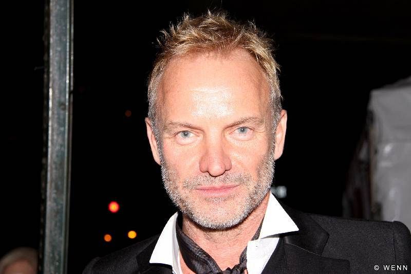 Sting The Singer and Bassist of the New Wave Rock and Roll Band The Police